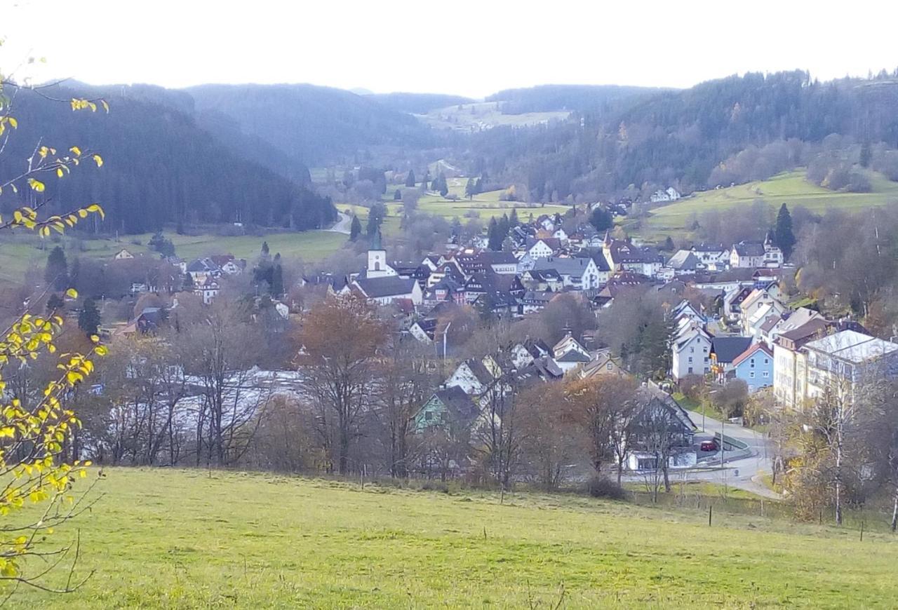 Ferienwohnung Waldrast Lenzkirch Dış mekan fotoğraf